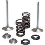 Kibblewhite Valve Kit - Intake 40-41650