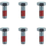MOTO-MASTER 12021PU Moto-Master Bolts - Rotor - M6 X 17 12021-Pu