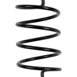 Secondary Clutch Spring 05-Blackts