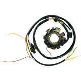 RICK'S MOTORSPORT ELECTRIC 21553 Rick'S Motorsport Electric Stator 21-553