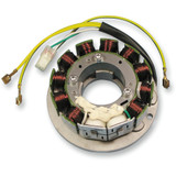 Rick'S Motorsport Electric Stator - Ski-Doo 24-101
