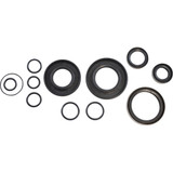 Vintco Oil Seal Kit - Kawasaki Kos017