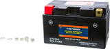 Fire Power Battery Ctz10S Sealed Factory Activated Ctz10S