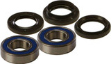 All Balls 25-1542 All Balls Wheel Bearing Kit 25-1542