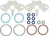 Sp1 Injector Seal Kit S-D Sm-07395
