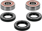 PIVOT WORKS 25-1035-P Pivot Works Wheel Bearing Kit Premium 25-1035-P