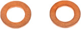 Bolt M10X18Mm Copper Compression Washer 50/Pk Cprm10.18-50