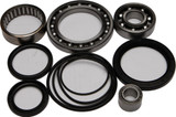 All Balls Rear Differential Bearing And Seal Kit 25-2033
