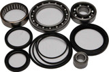 All Balls 25-2033 All Balls Rear Differential Bearing And Seal Kit 25-2033