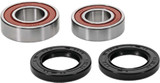 PIVOT WORKS 25-1299-P Pivot Works Wheel Bearing Kit Premium 25-1299-P