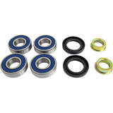Epi Rear Independent Suspension Repair Kit We331052