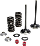 Kpmi Intake Valve Spring Kit 30-31210