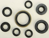 Vertex Oil Seal Set 822175