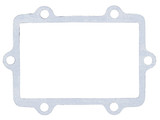 Vertex Reed Gasket 717252