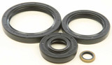 All Balls 25-2066-5 All Balls Differential Seal Kit 25-2066-5