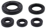 Vertex 822990 Vertex Oil Seal Set 822990