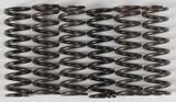 Hinson High Temp Springs 6 Springs Cs216-6-0315