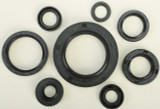 Vertex 822110 Vertex Oil Seal Set 822110