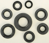 Vertex 822181 Vertex Oil Seal Set 822181