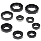 Vertex Oil Seal Set 822341