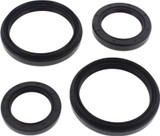 All Balls 25-2050-5 All Balls Differential Seal Kit 25-2050-5