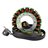 Rm Stator RM01047 Rm Stator High Output Stator 250W Stator+Pickup Coil Rm01047