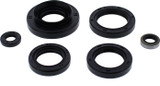 Vertex Oil Seal Set 822366