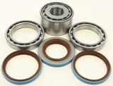 All Balls 25-2098 All Balls Rear Differential Bearing And Seal Kit 25-2098