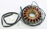 Ricks 21-309 Ricks Stator 21-309