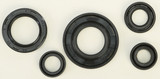 Vertex Oil Seal Set 822240 Vertex Oil Seal Set 822240