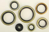 Vertex Oil Seal Set 822976