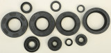 Vertex Oil Seal Set 822252 Vertex Oil Seal Set 822252