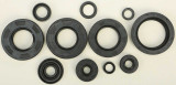 Vertex 822252 Vertex Oil Seal Set 822252