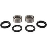 Pivot Works Front Wheel Bearing Kit Pwfwk-A01-542