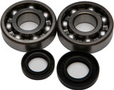 All Balls 24-1002 All Balls Crankshaft Bearing/Seal Kit 24-1002