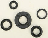 Vertex Oil Seal Set 822222