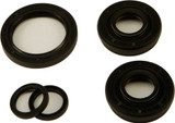 All Balls 25-2071-5 All Balls Differential Seal Kit 25-2071-5