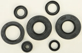 Vertex 822291 Vertex Oil Seal Set 822291