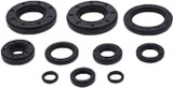 Vertex Oil Seal Set 822993