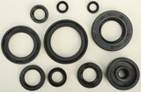 Vertex Oil Seal Set 822115