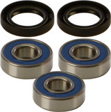 All Balls Wheel Bearing & Seal Kit 25-1677
