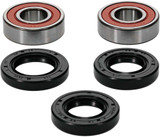 PIVOT WORKS 25-1320-P Pivot Works Wheel Bearing Kit Premium 25-1320-P