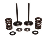 Kpmi 30-33200 Kpmi Intake Valve/Spring Kit Stainless Steel 30-33200