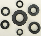 Vertex 822219 Vertex Oil Seal Set 822219