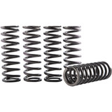 Hinson Racing Clutch Spring Kit Cs069-5-001