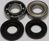 All Balls Chain Case Bearing & Seal Kit 14-1045