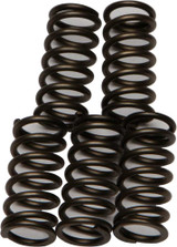 EBC CSK176 Ebc Clutch Springs Csk176 Csk176