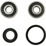 Pivot Works Wheel Bearing Kit - Front Pwfws-H30-000