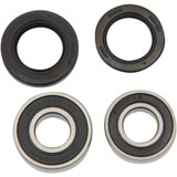 PIVOT WORKS PWRWKH18008 Pivot Works Wheel Bearing Kit - Rear Pwrwk-H18-008