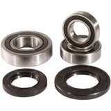 PIVOT WORKS PWRWSS42000 Pivot Works Wheel Bearing Kit - Rear Pwrws-S42-000